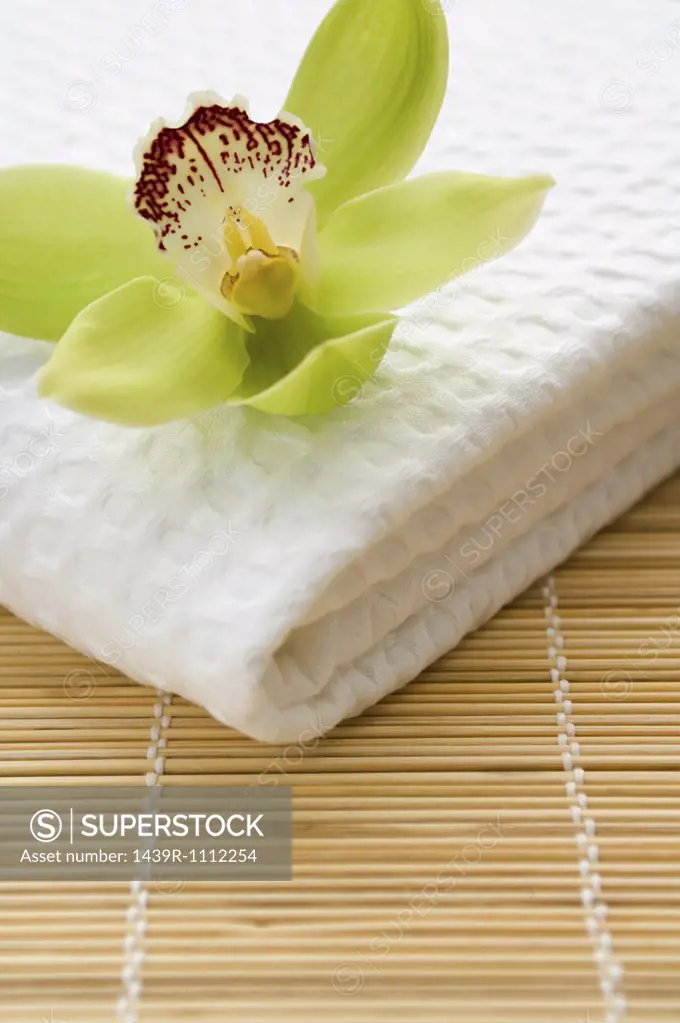 Orchid flower on towel
