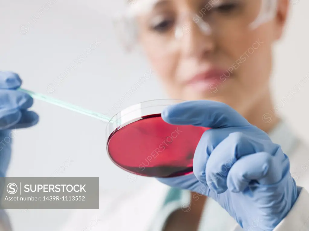 Female scientist holding a petri dish