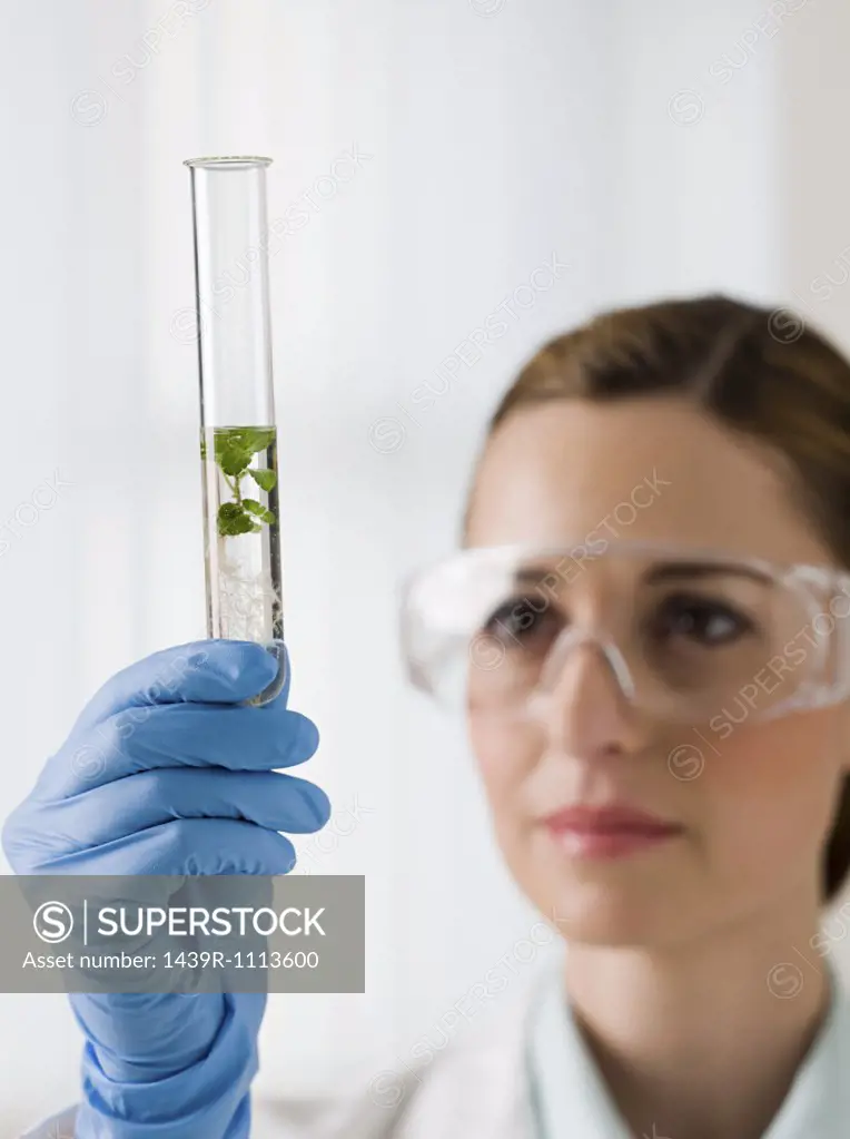 Female scientist holding a test tube