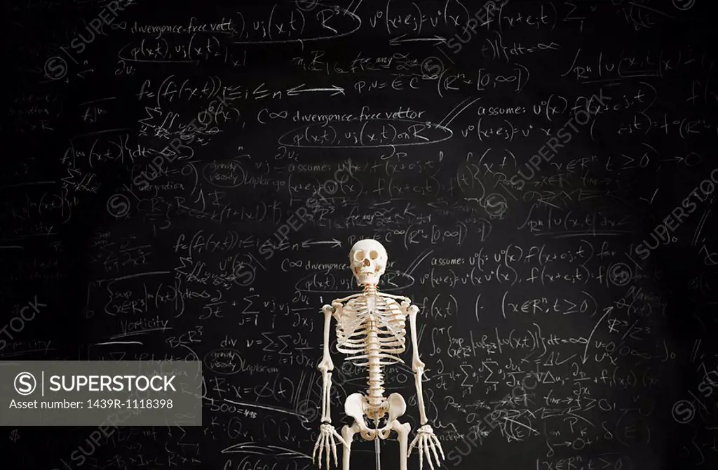 Skeleton in front of blackboard
