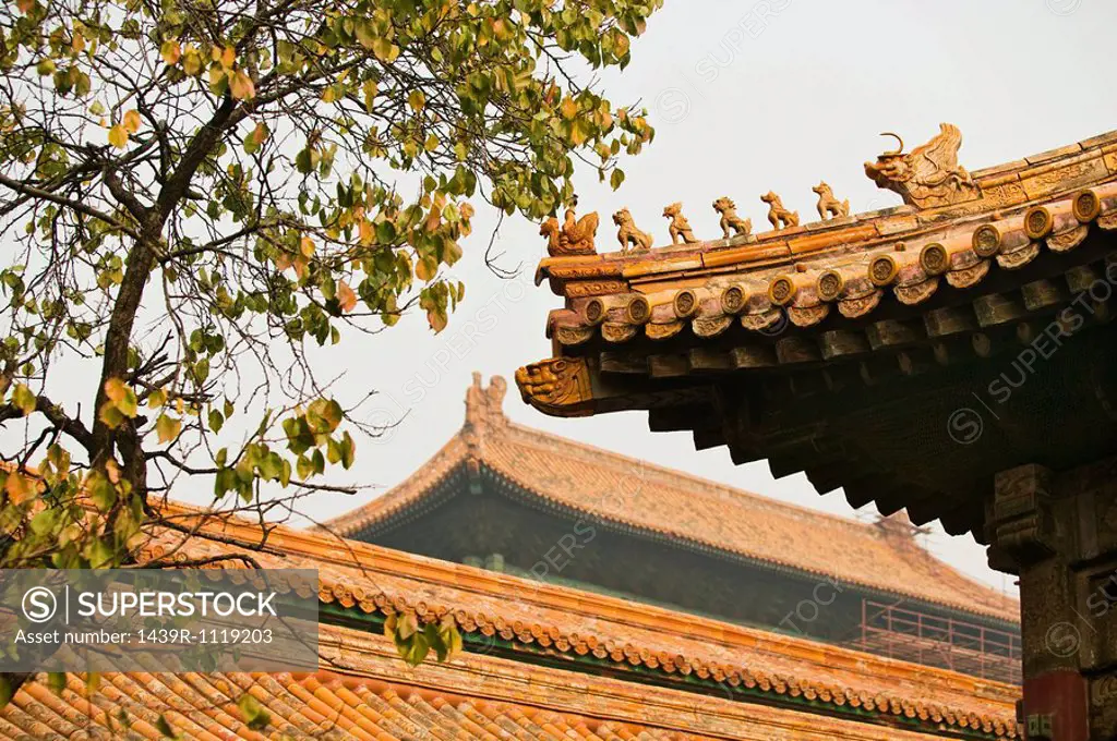 Roofs in forbidden city beijing