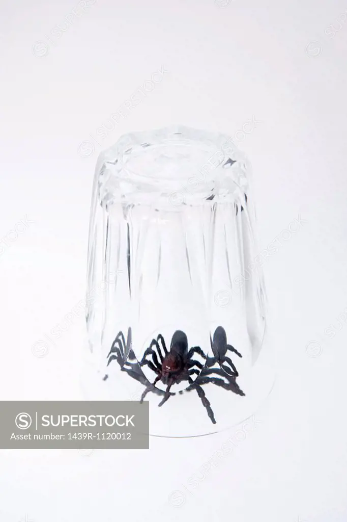 A toy spider trapped under a glass