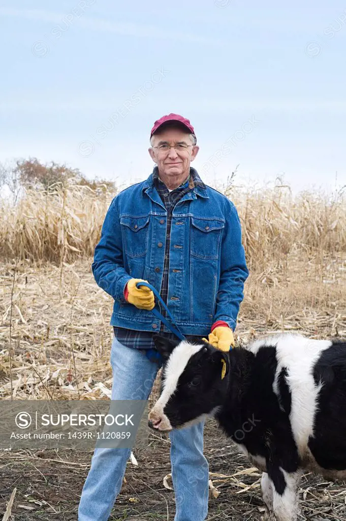 Farmer with a calf