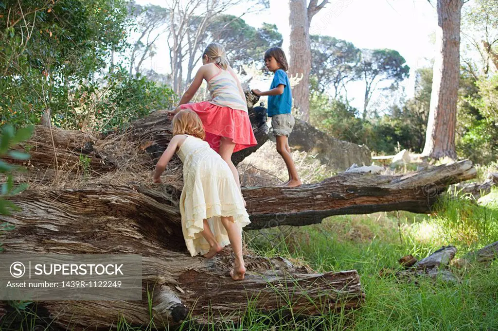 Children climbing over tree trunk