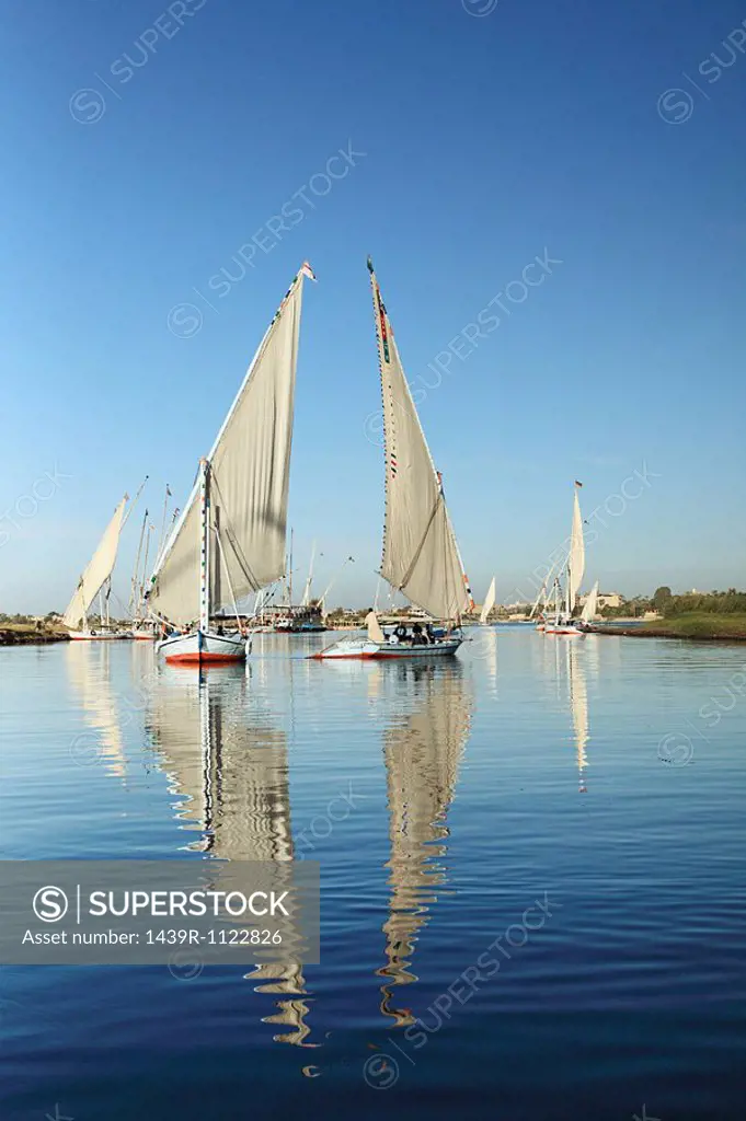 Felucca boats on river nile at luxor