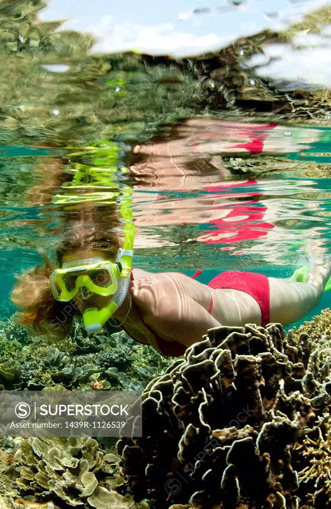 Snorkeler on coral reef.