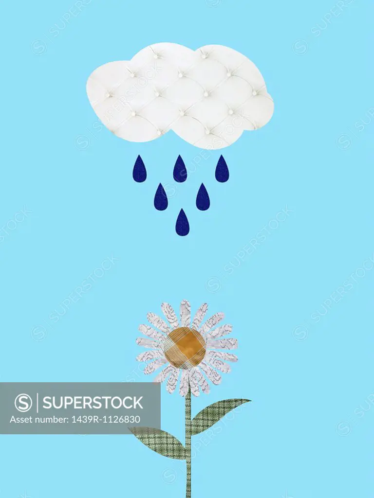 Cloud and raindrops watering daisy