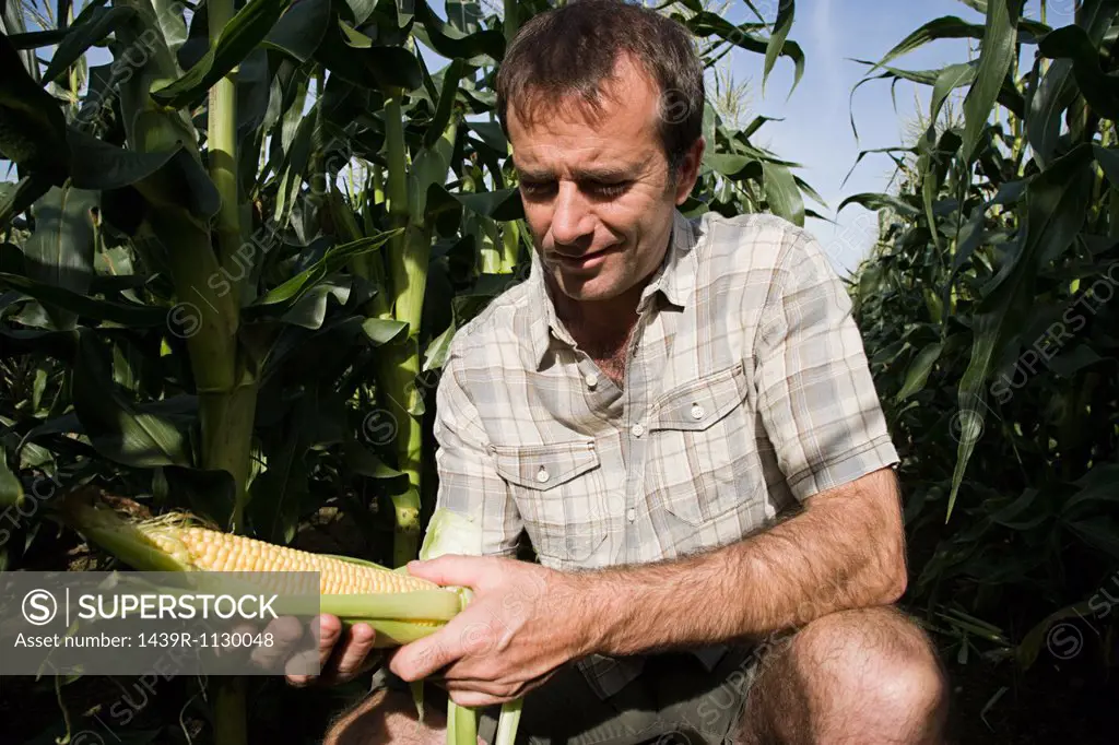 Man holding corn cob