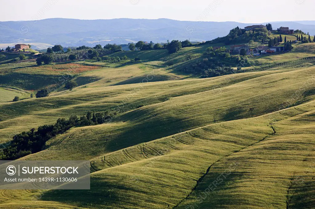 Rolling landscape near Siena, Tuscany, Italy