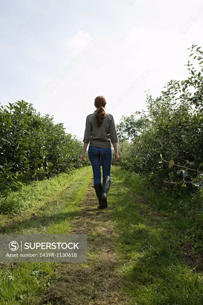 Young woman walking in field, rear view