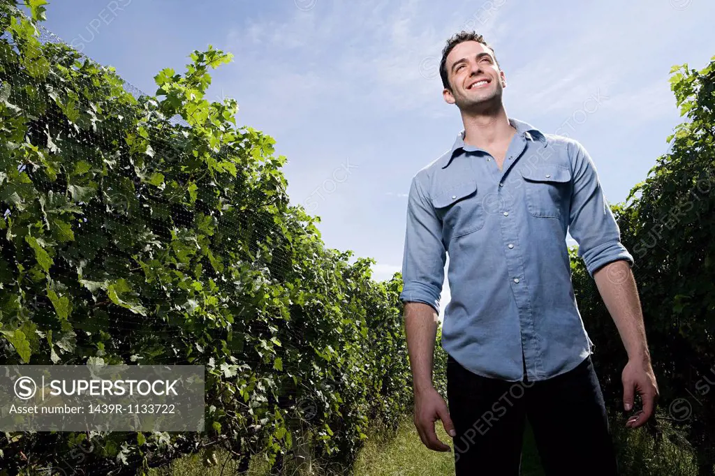 Young man in vineyard