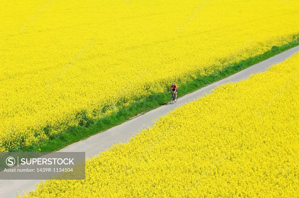 Man cycling through fields
