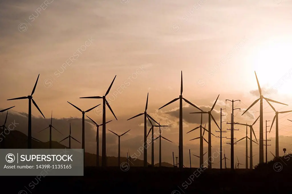Wind farm, Indian Wells, California, USA