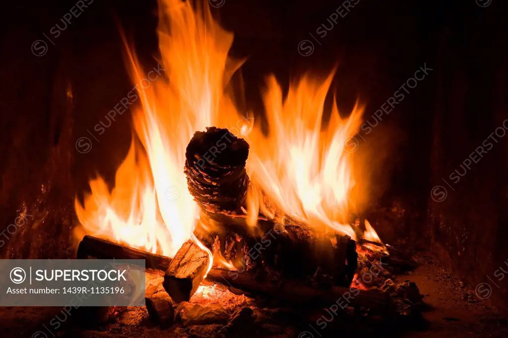 Logs burning in open fire
