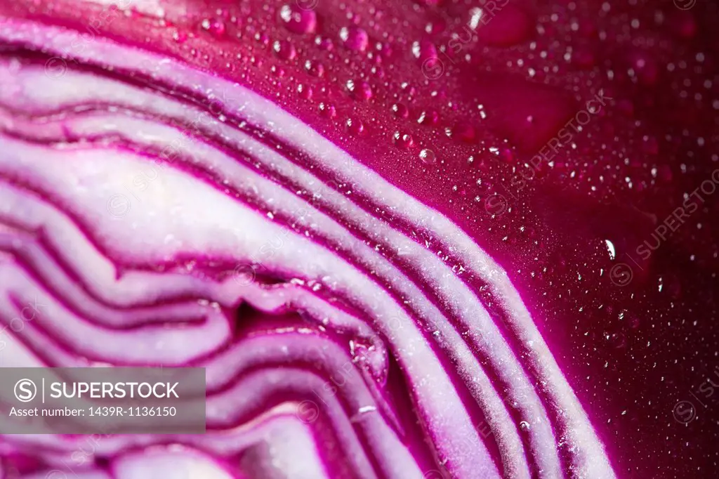 Sliced red cabbage, close up