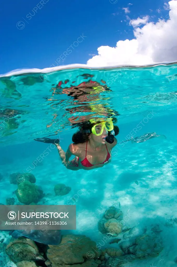 Over/under of snorkeler and ray