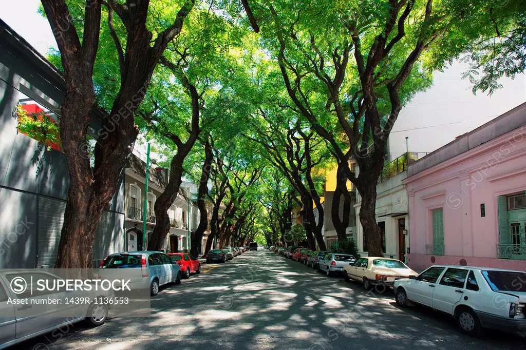 Street in Palermo Viejo, Buenos Aires, Argentina