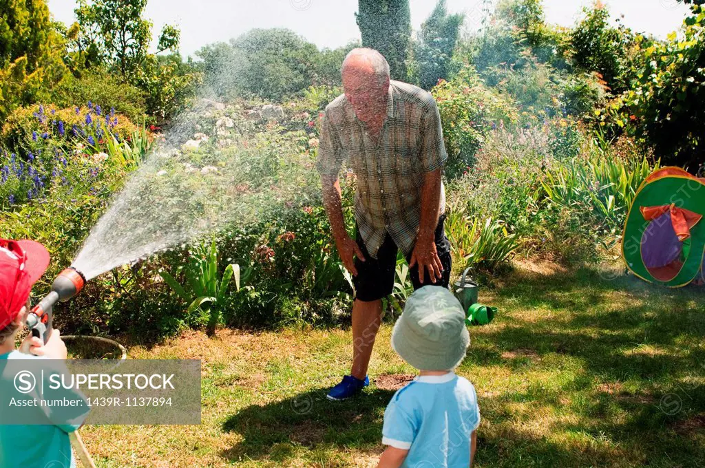 Grandsons spraying grandfather with hosepipe