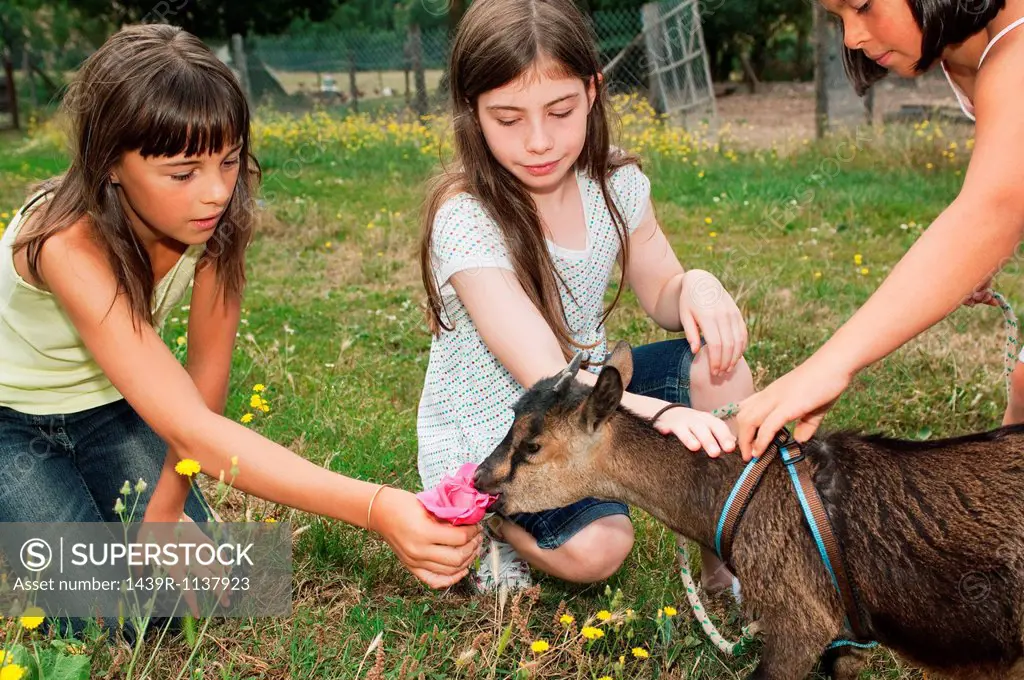 Three girls with goat kid