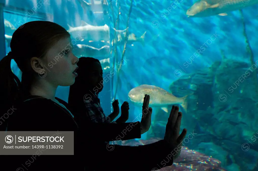 Girls staring at fish in aquarium