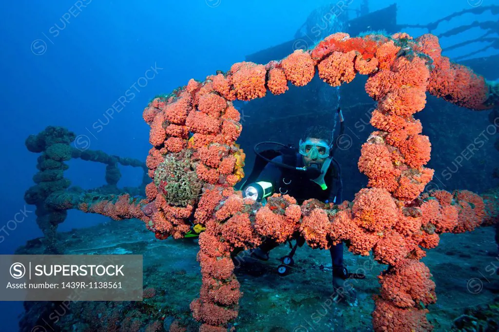 Scuba diver on shipwreck