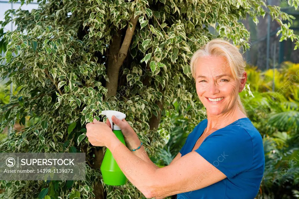 Mature woman spraying plant