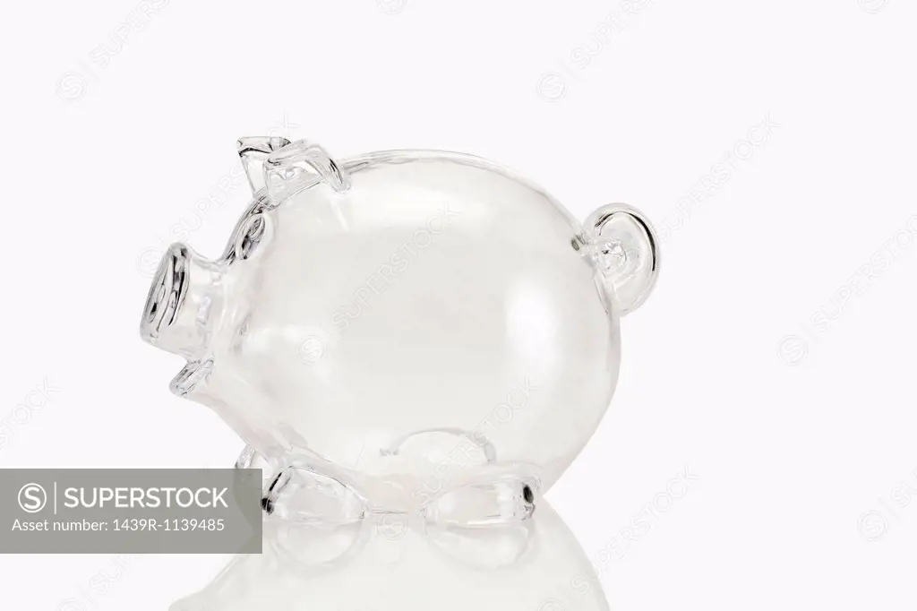 Empty transparent piggy bank