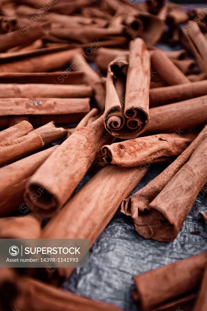 Cinnamon sticks at Roseau Market, Dominica, Lesser Antilles