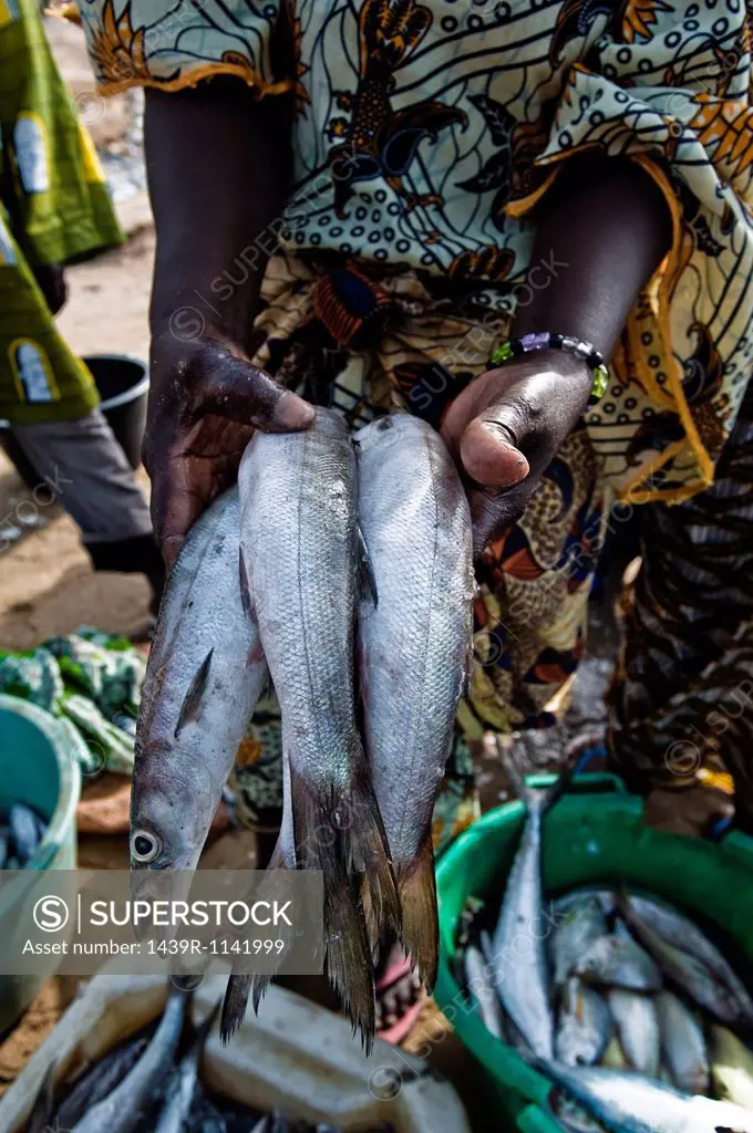 Person holding fish, Tanji Fishing Village, The Gambia