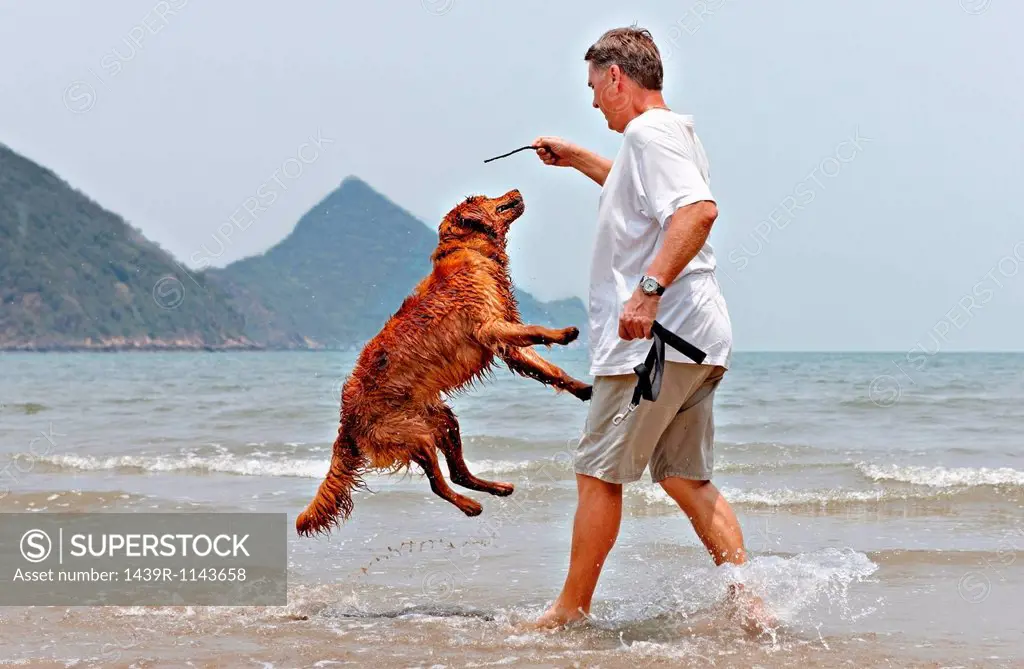 Man playing with dog on beach in Thailand