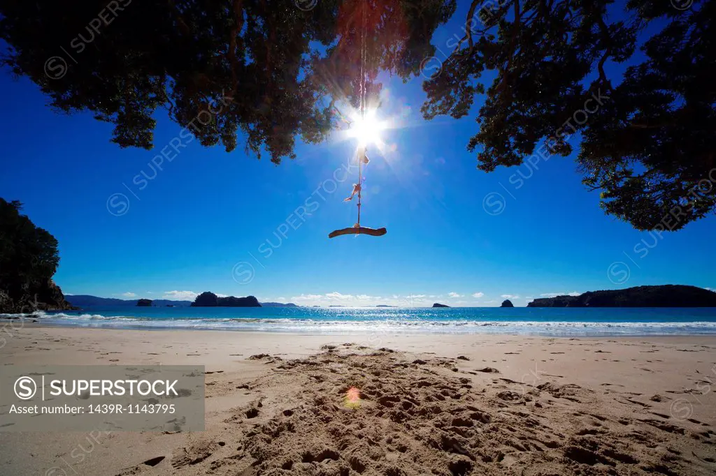 Rope swing at beach, Hahei, Waikato Region, New Zealand