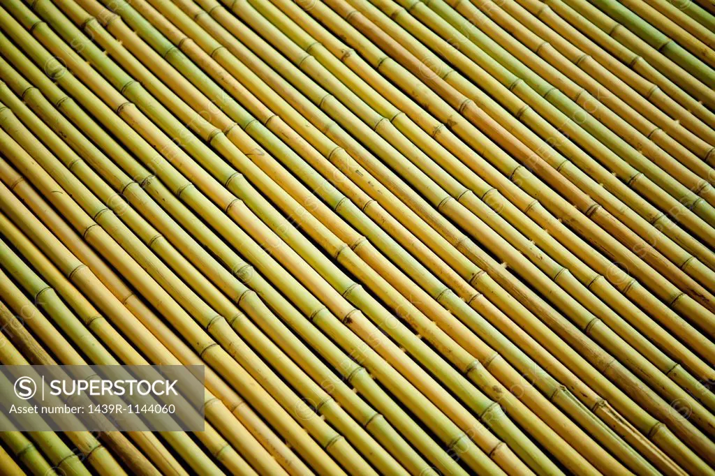 Rows of bamboo wood