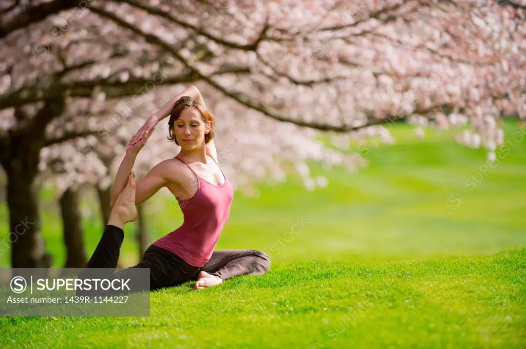 Woman in pigeon yoga pose under cherry tree