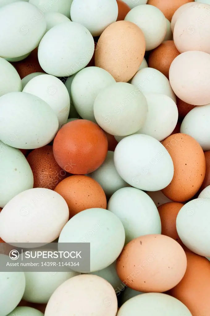 Large amount of eggs