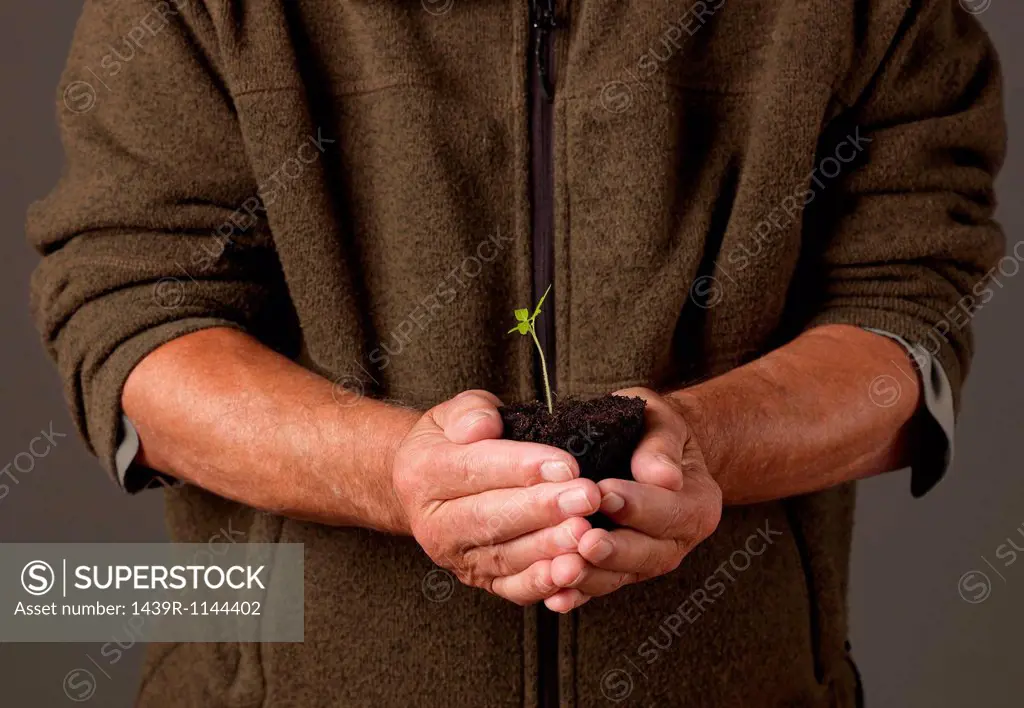 Man holding seedling