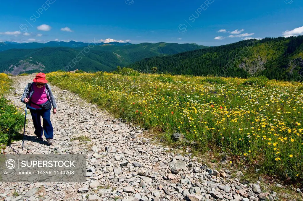 Female hiker on mountain path, Silver Star Peak, Cascade Range, Washington, USA