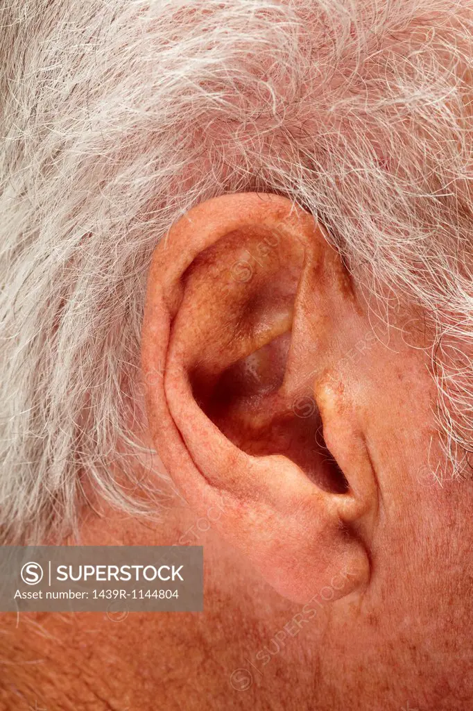 Senior mans ear, close up