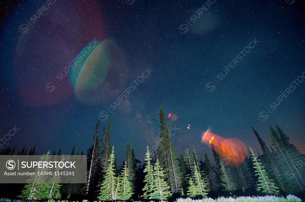 Lens flare over trees, Mount Rainier, Washington, USA