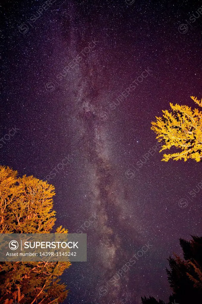 The Milky Way, Washington, USA