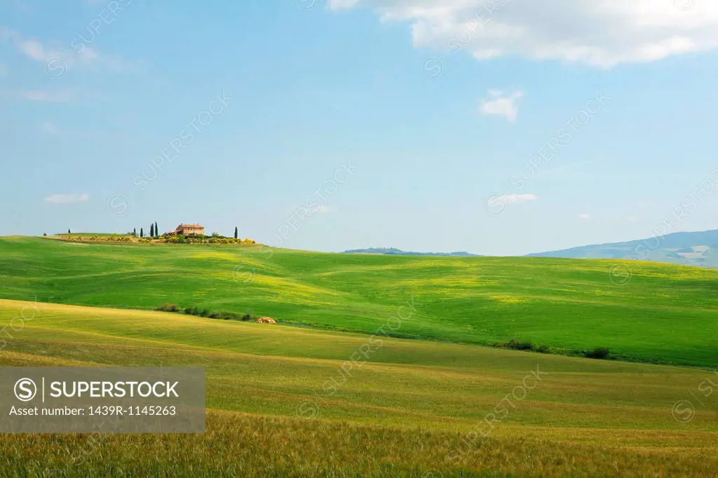 Rolling landscape, Tuscany, Italy