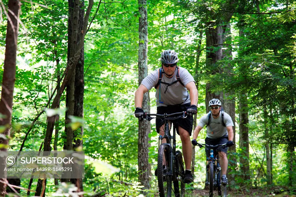 Two men mountain biking in forest