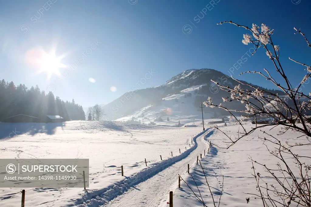 Snow covered landscape, Kirchberg, Tirol, Austria