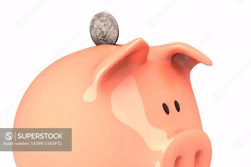 Piggy bank and dollar coin