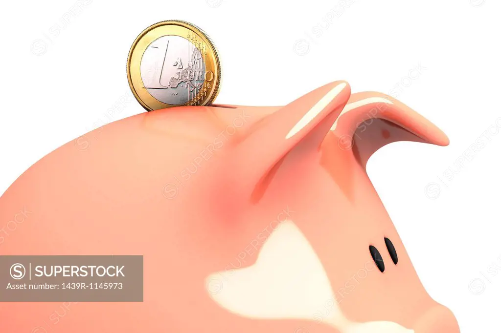 Piggy bank and euro coin