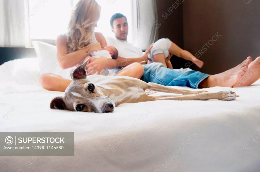 Pet dog and family with couple with babies on bed