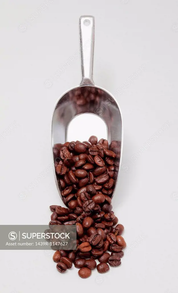 Scoop of coffee beans