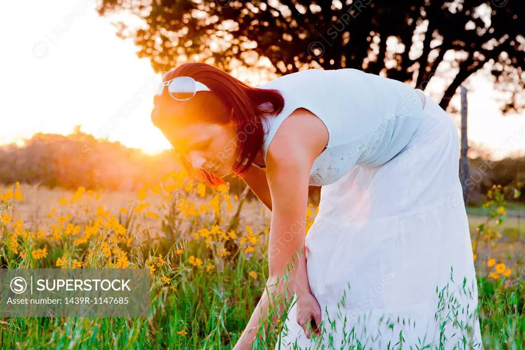 Woman picking flowers in field in sunlight
