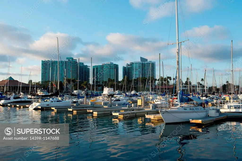 Boats in marina, venice beach, california, usa