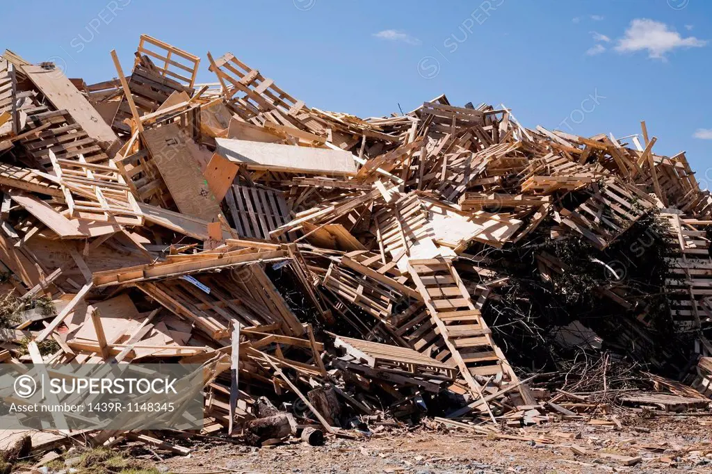 Pile of discarded wood at waste management site