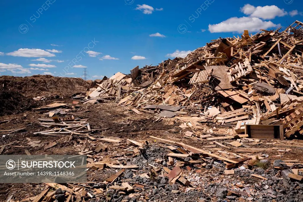 Pile of discarded wood at waste management site